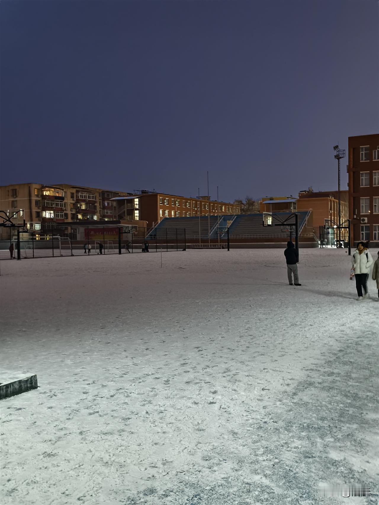 分享你随手拍的风景随手拍今天下雪了