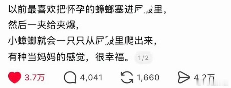 分享图片 