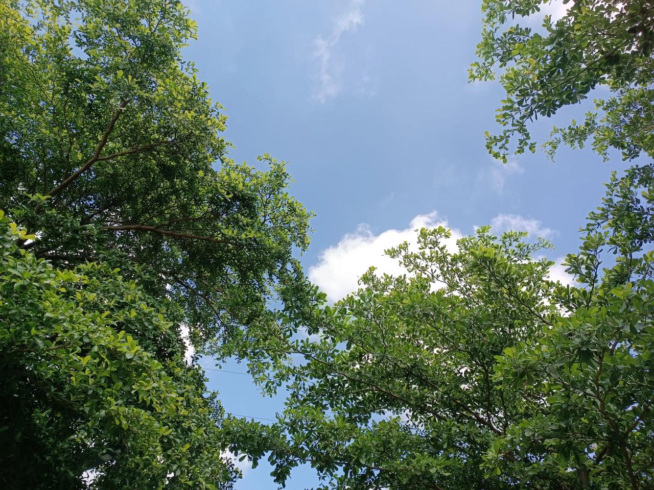 今天天气晴朗
阳光明媚
有点热热的
哈哈，上午好
[送自己一朵花][送自己一朵花