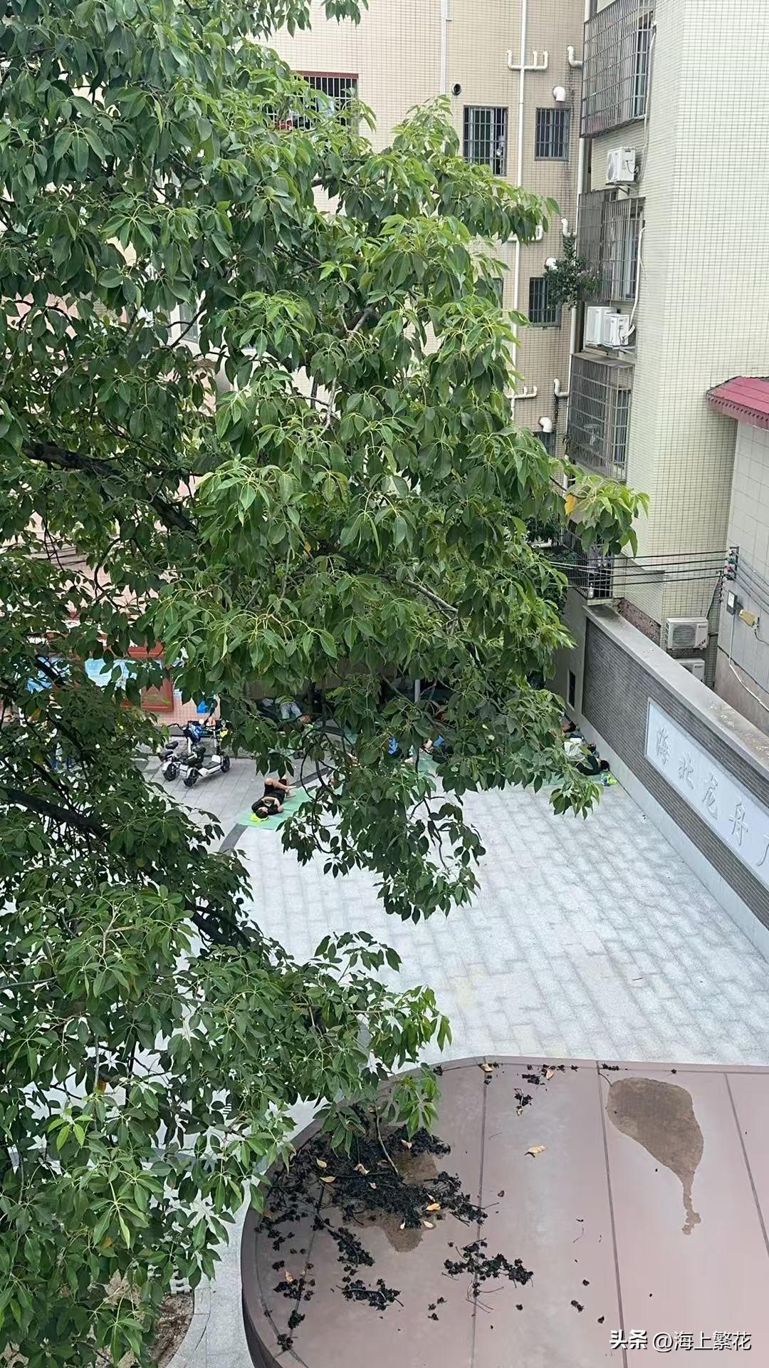 现在的天气渐渐的转凉了，但是外面的气温还是特别闷热的。在广东，30多度是很正常的