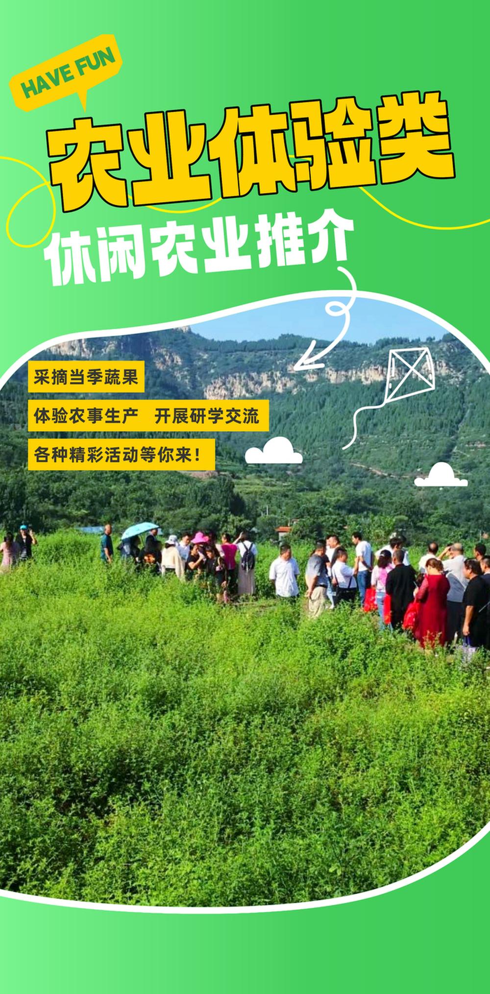 春耕夏耘，秋收冬藏，齐鲁大地的农耕智慧在四季轮转中生生不息。从济阳曲堤“望得见山