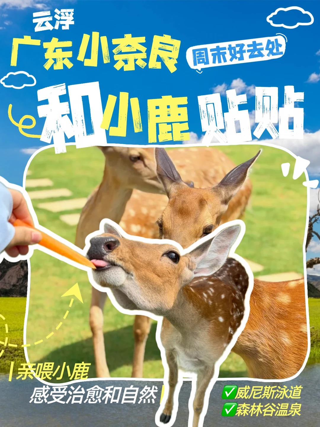 广东小奈良｜与夏天的小鹿撞个满怀