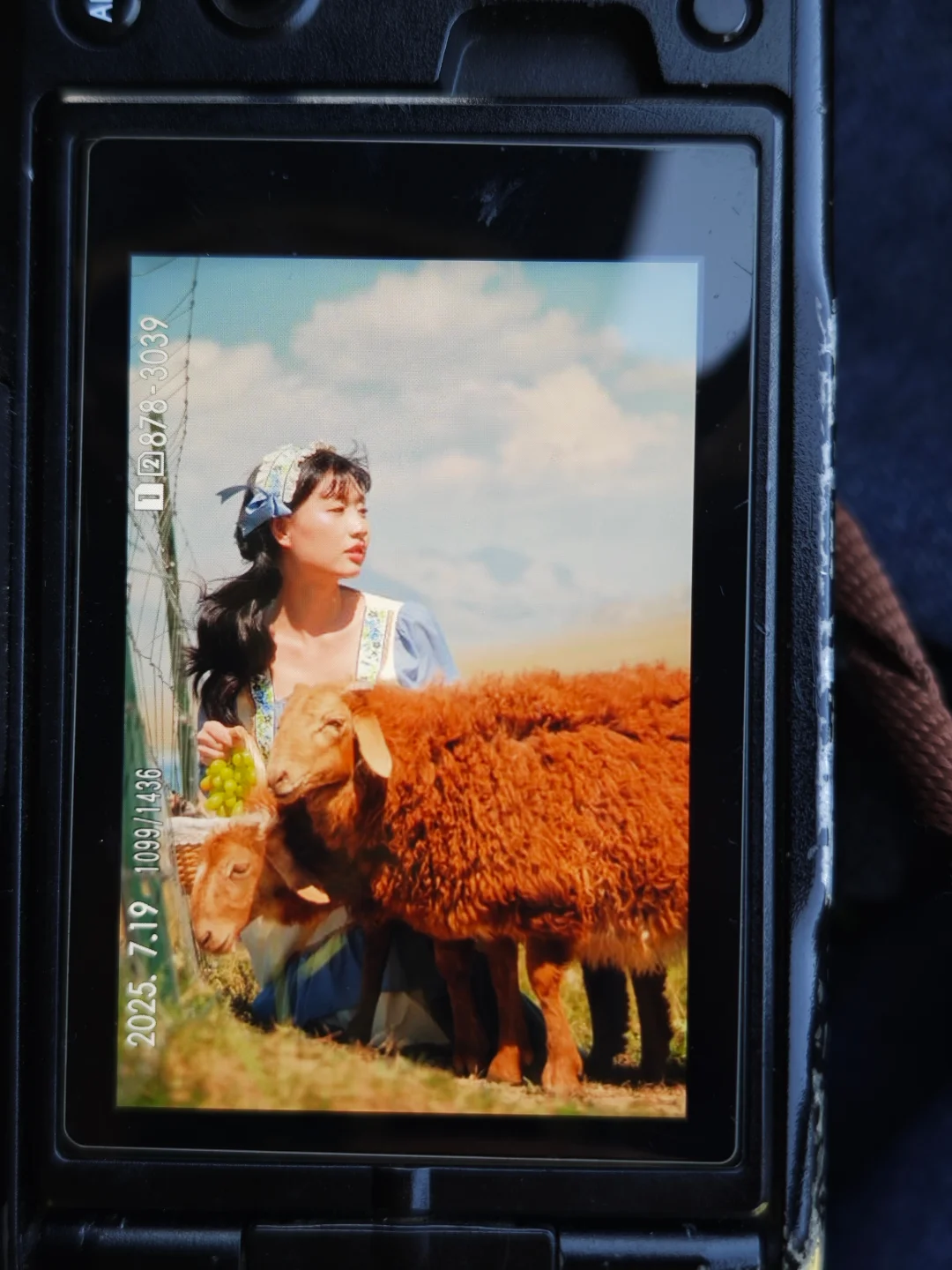 明天南昌有没摄影助理～