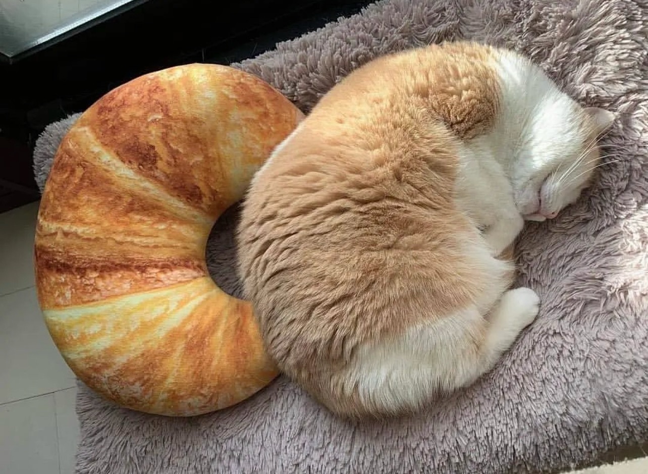 宝宝你是一块儿牛角面包