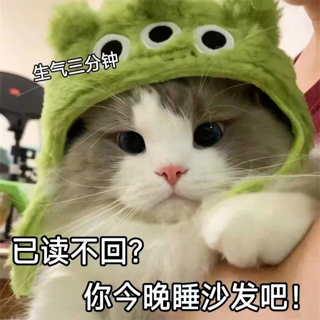 最喜欢小猫咪的表情包了[打call]发一组小猫咪  喜欢自取[兔子] 