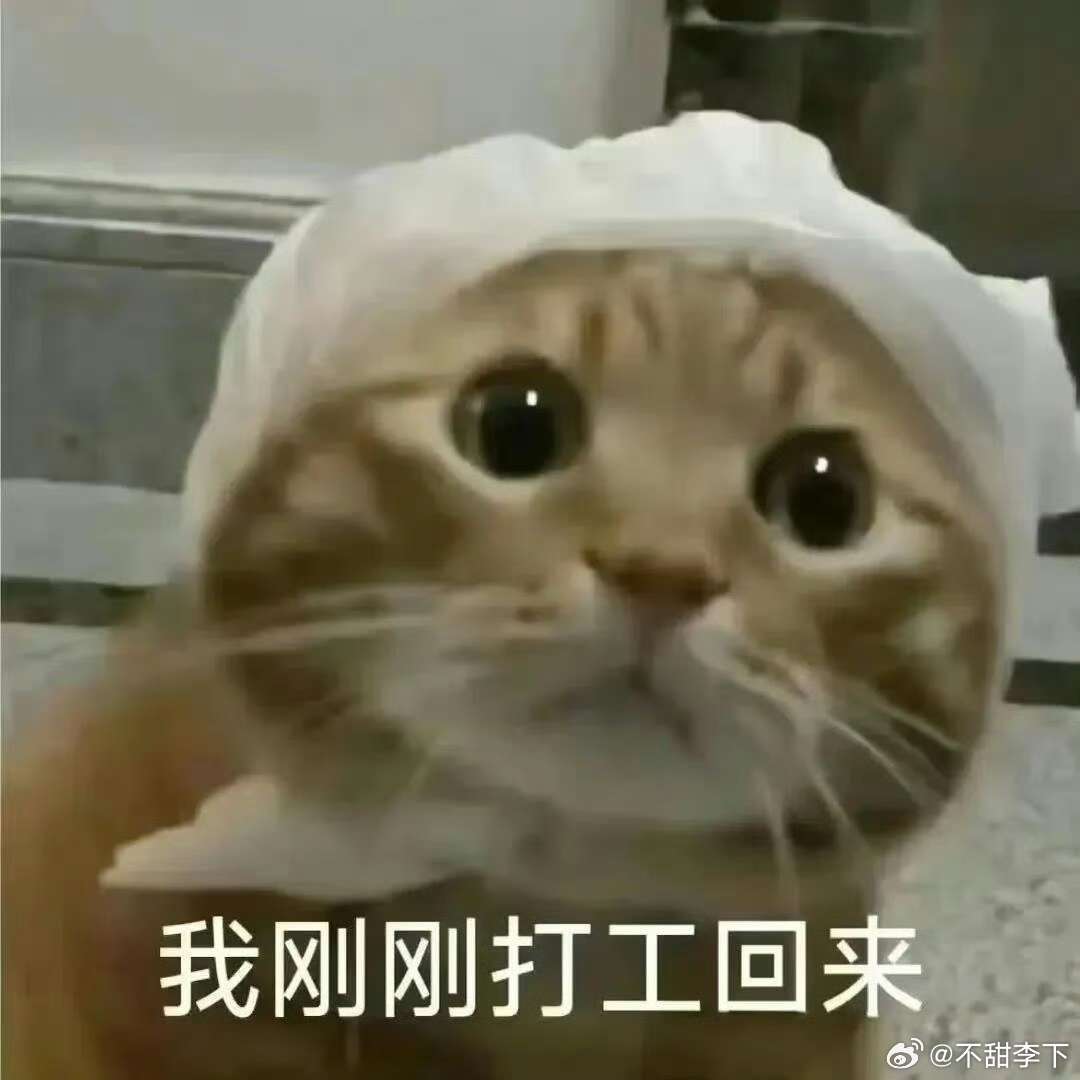 看完两集白日提灯，正常古偶水平，不吸引我，特效还不错。巴姐人设不错没有枭起里漂亮