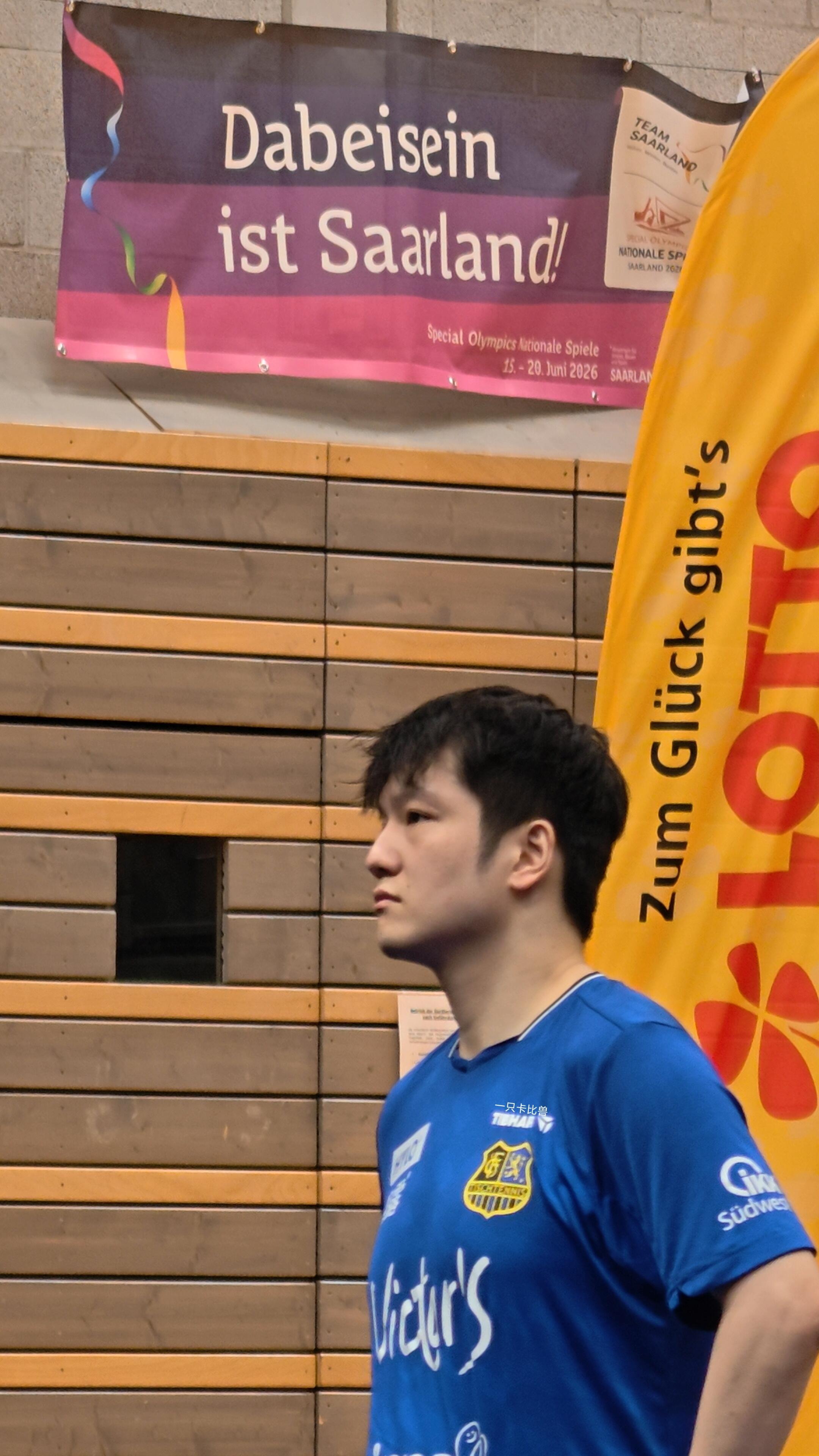 樊振东 暴力熊猫上线，壁纸速存！ 