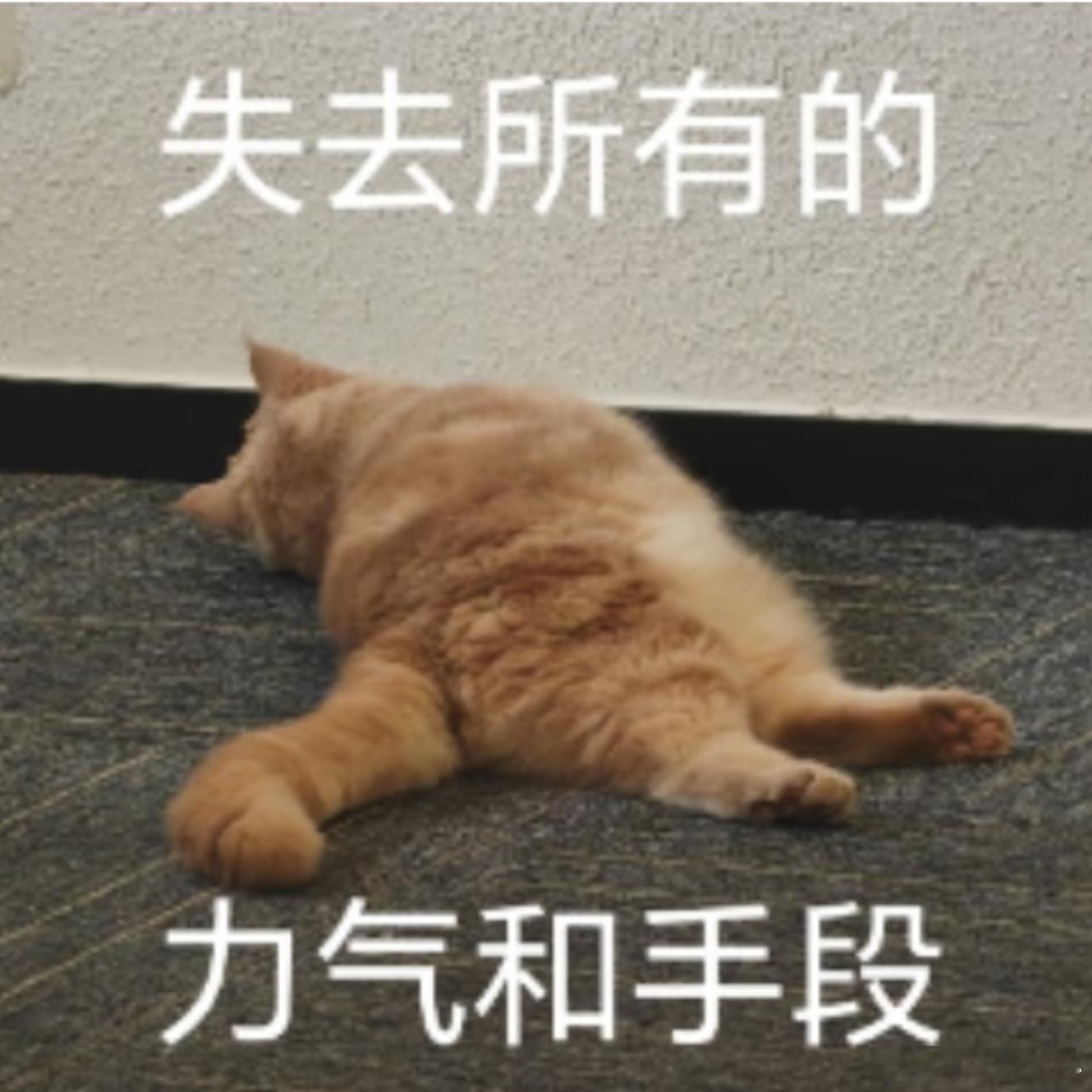 以前看《西游记》，羡慕唐僧能取到真经，现在才懂，我们的“真经”，是在一次次与生活