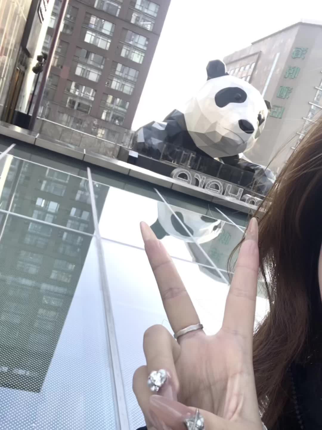 飞过了一万公里数着自己和你的距离