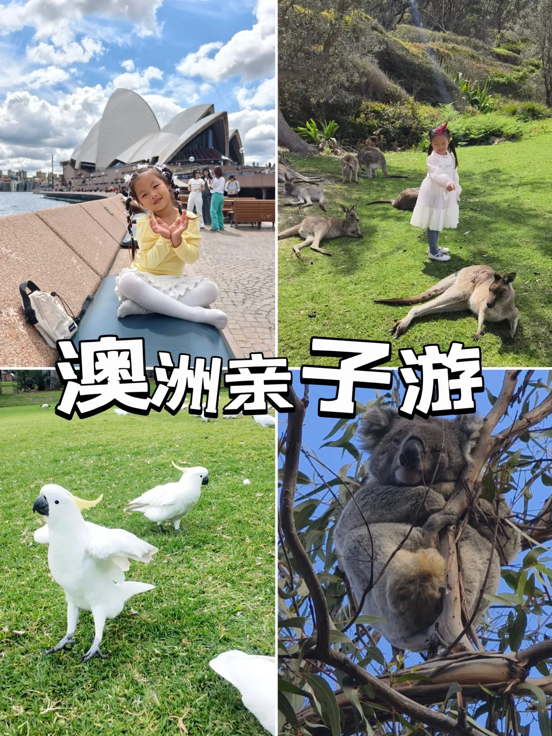超实用｜带娃去澳洲的十条宝贵建议📋