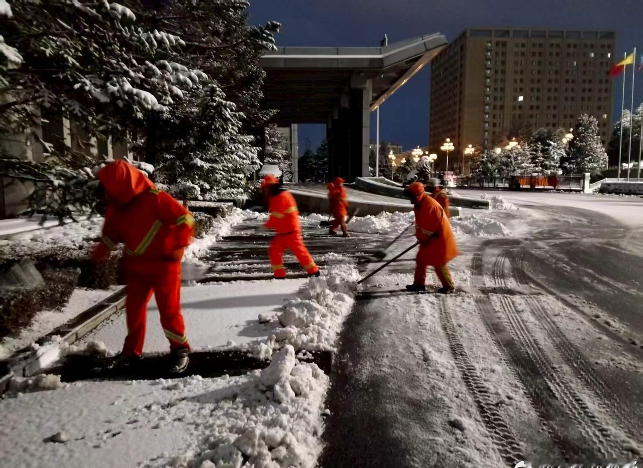 以雪为令 温情守护 我区全力保障雨雪天气居民出行安全有一种美好叫辽宁 新时代六地