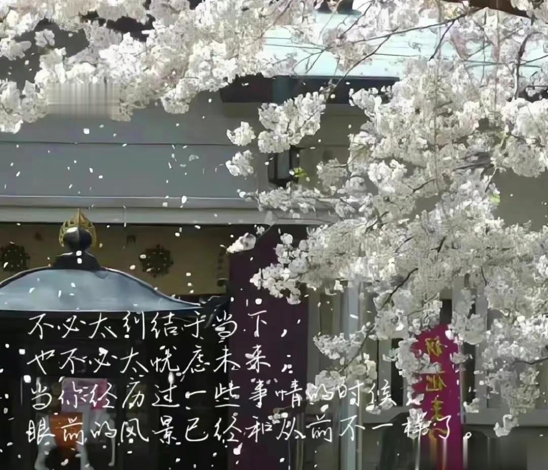 #人生感悟# 不必太纠结于当下，也不必太忧虑未来，当你经历过一些事情的时候，眼前