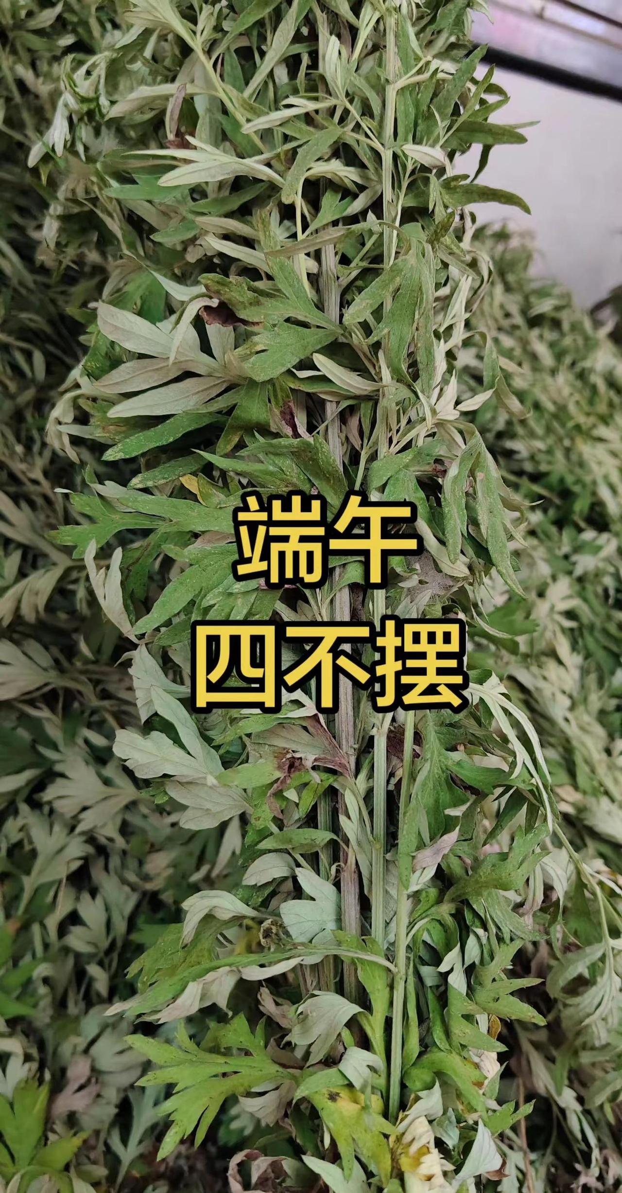 中国德比来了!丁俊晖10-5战胜吉尔伯特晋级世锦...端午 端午节