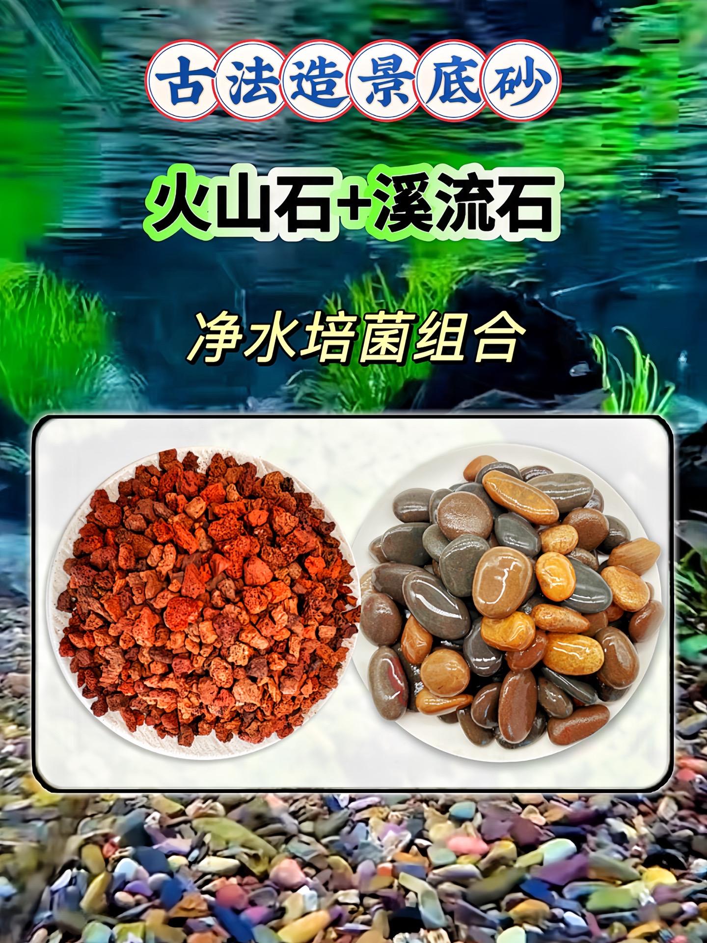 养鱼新手闭眼入！火山石搭配溪流石，稳定水质、培养有益菌，轻松打造“零操...