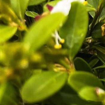 取景框里的美好留不住，就把好梦定格在深夜，晚安。 