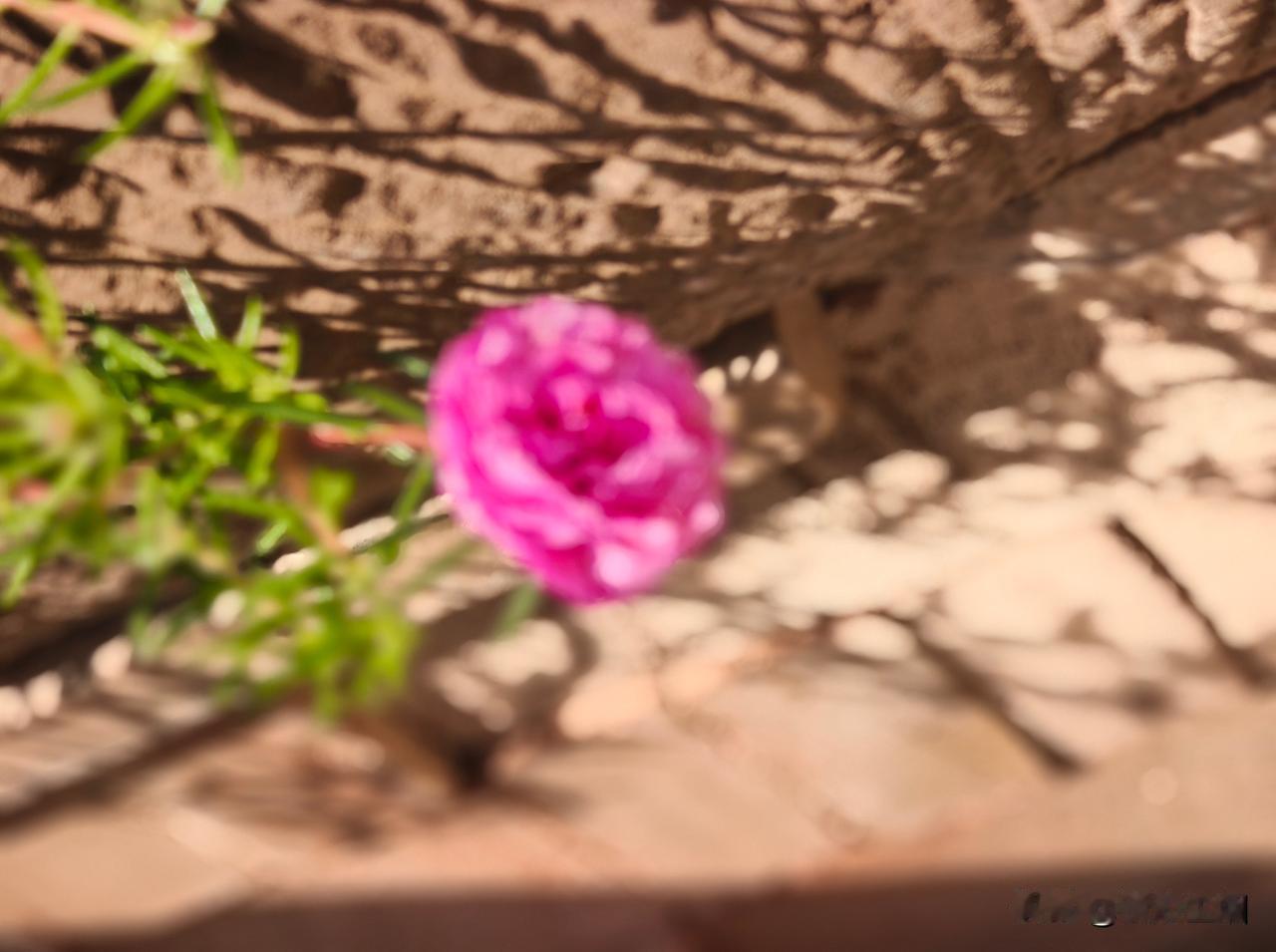 快来看看我新换的主页背景吧