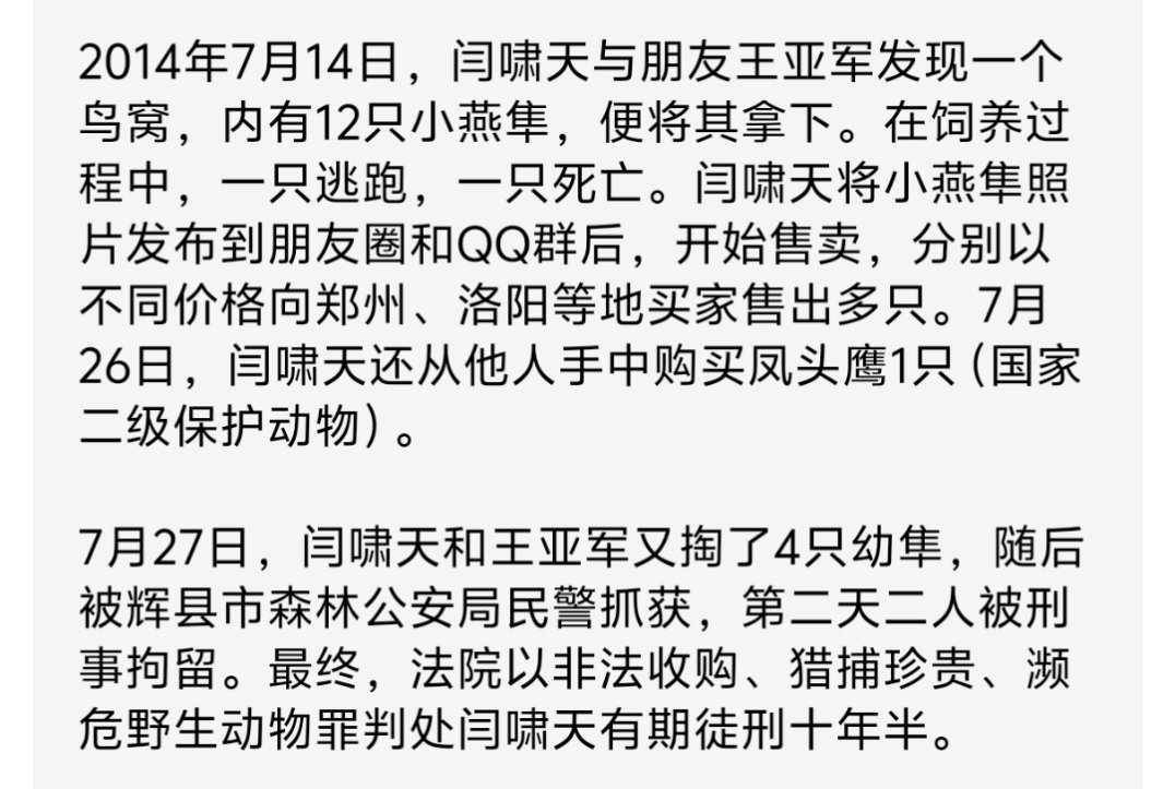 小鸟因无价值被留捕鸟网上风干了又想起那个捕鸟被判十年喊冤的大学生了，然而事实上他