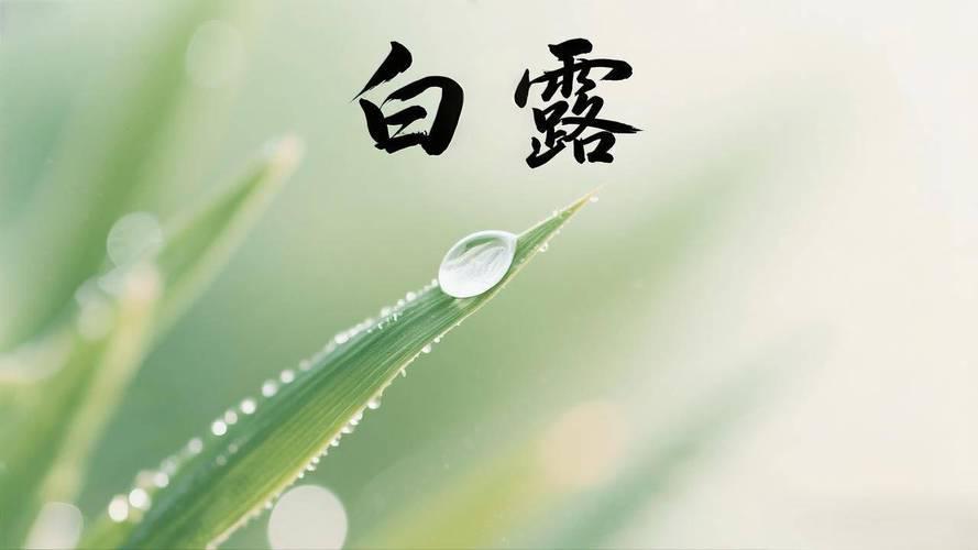 暑尽风清，人间入秋。
一夜秋风，一夜露白，
愿所有美好，都随秋而来。