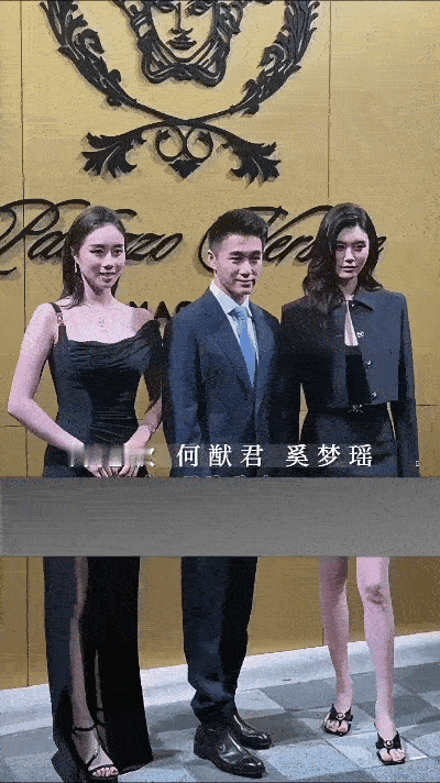 很奇怪啊
何超欣和利智在长相上相似度还是很高的
难道真像网上传的
何超欣和利智有