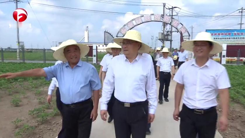 7月28日，省委书记梁言顺在阜阳市太和县、界首市调研。