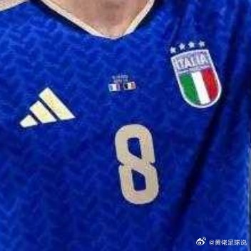 托纳利在对阵土耳其赛前谈到输给比利时，称意大利队踢得不好、输球理所应当，没有能改