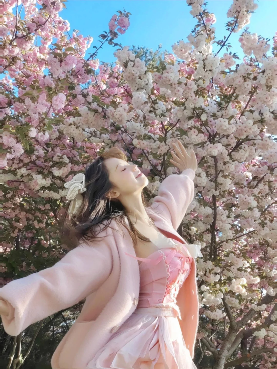 北航|飞翔的樱🌸