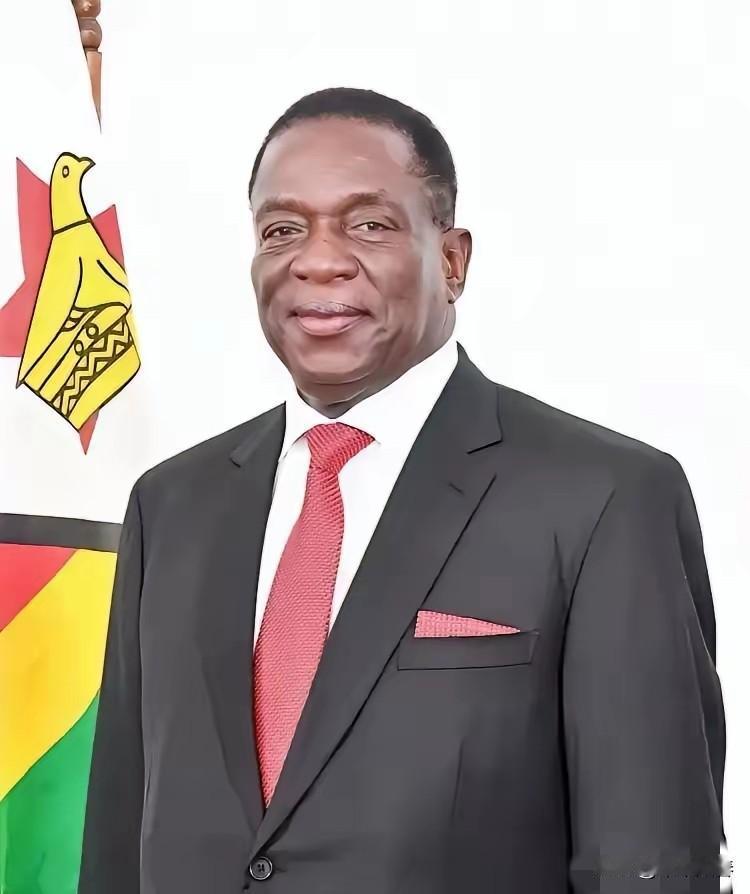 前脚巴拿马不顾中方反对，强行接管了巴拿马港口，后脚津巴布韦突然宣布暂停锂矿出口。