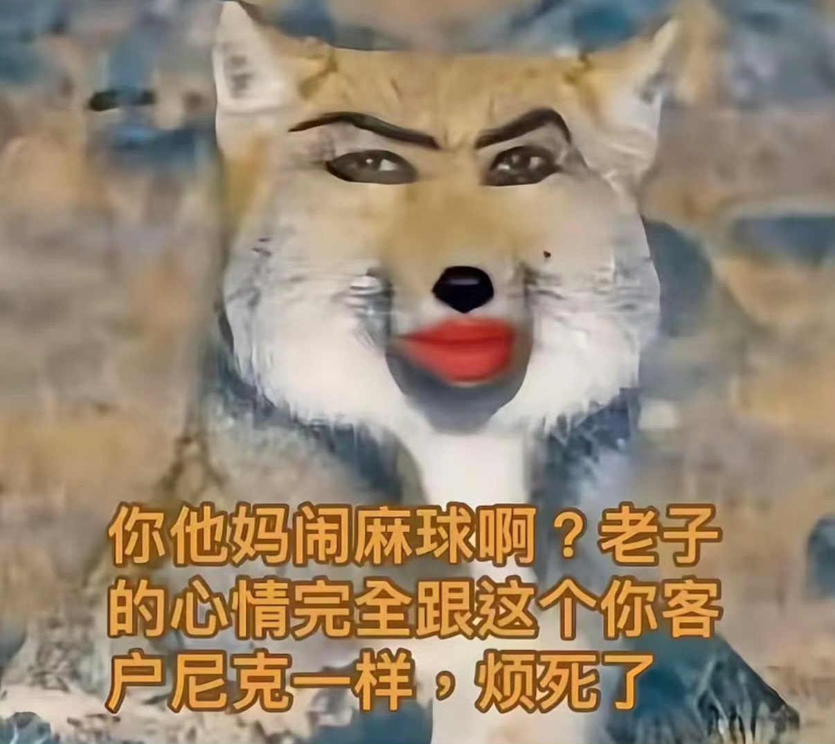 我觉得有些磕啥莞莞类卿的磕的无比的恶心 谁都能拿来和老mao比 真是辱老mao了