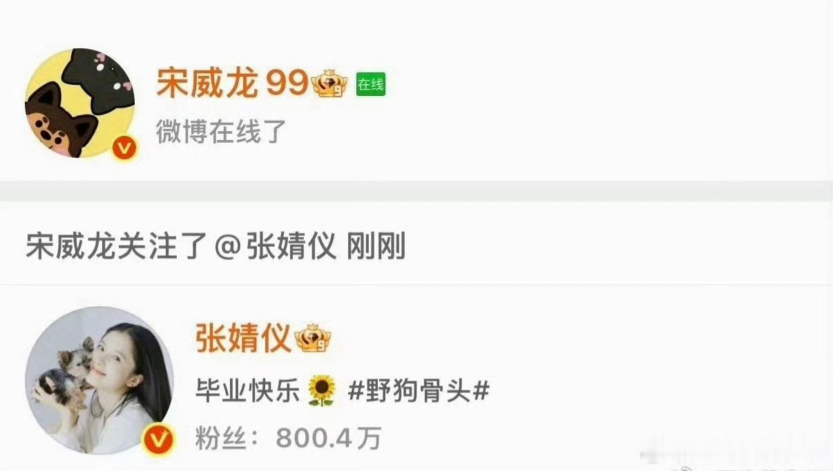 宋威龙张婧仪互关野狗骨头追剧团互关开启缘分篇章，宋威龙和张婧仪氛围感满满，奔赴剧