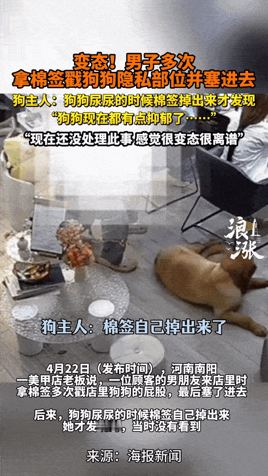变态！男子多次用棉签戳狗狗，还直接塞进去。

河南南阳一家美甲店里，发生了一件让