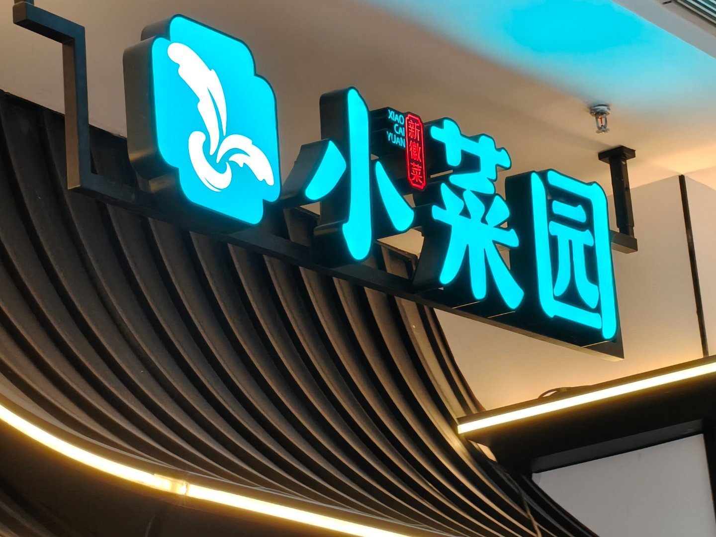 在A馆小菜园对面发伸手