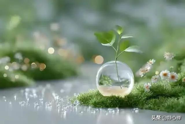 你一定要相信！在见人见事心情波动的当下，你马上心中持念金刚经中的这3句偈语，定会