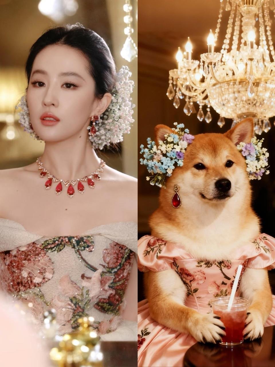 推给我干吗推给刘亦菲啊连猫咪狗子都开始复刻刘亦菲的满天星妆造了！插上几支鲜花，瞬