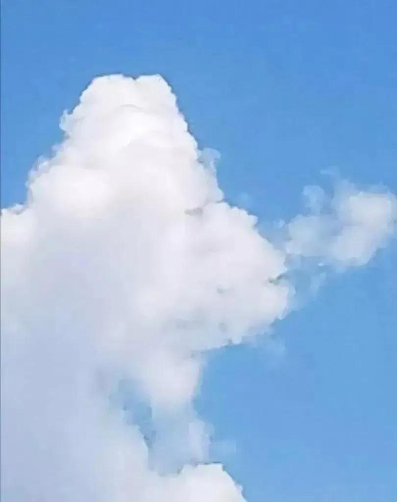 如果你第一眼看到的是一只鸡，说明你的右脑很发达，如果看到的是一匹马，说明你的左脑