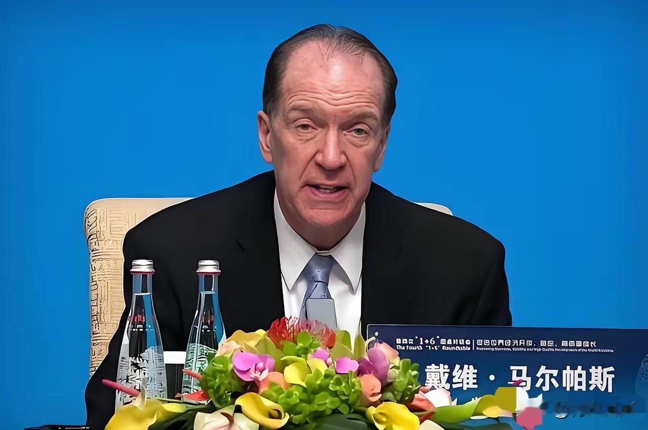 5月12日，世界银行前行长戴维·马尔帕斯，在接受英国广播公司采访时表示，“中国必