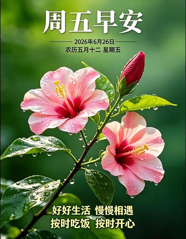 6.26[燃烧的心][福]早上好[招财进宝][心]
人生有缘常相念，一句问候胜千
