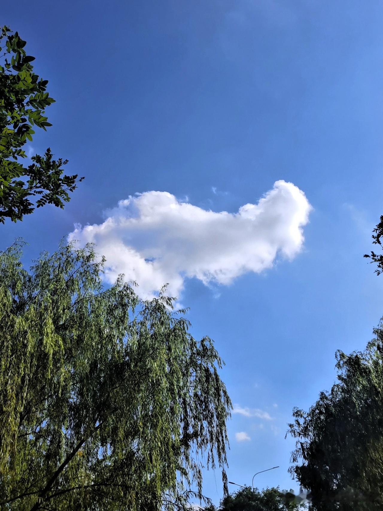 二婚都是隔着心过日子的吗?

二婚不光隔着心
还有存款和现金
还有老人和儿孙
不