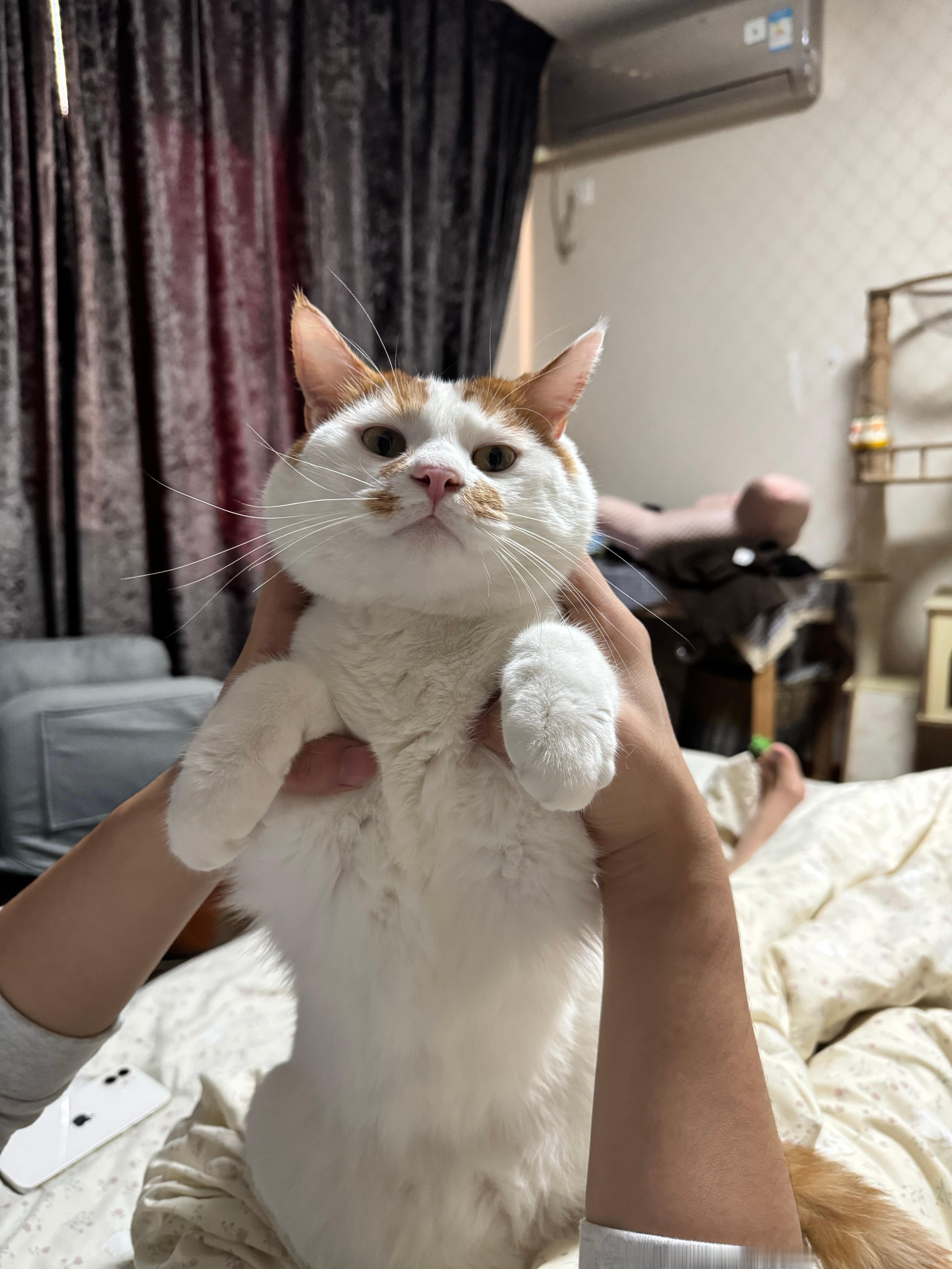 睡了个回笼觉挺爽的 ​​​