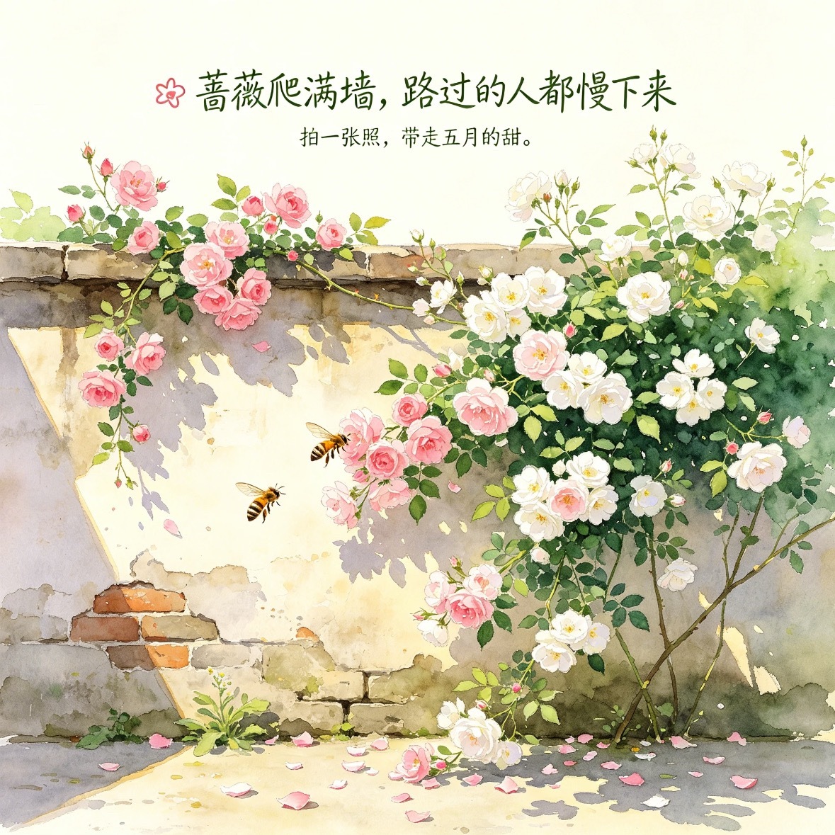 每日一善🌱阳光信用 🌱每日一善☀️极好784， 欢迎一起互动尽力，是为了不辜