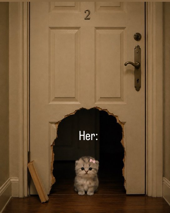 ⠀ ​​​