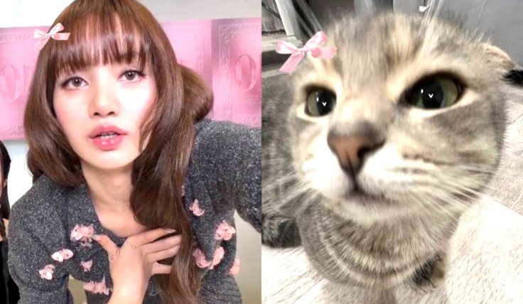 是不是嘛 对不对嘛🎀🎀🎀 