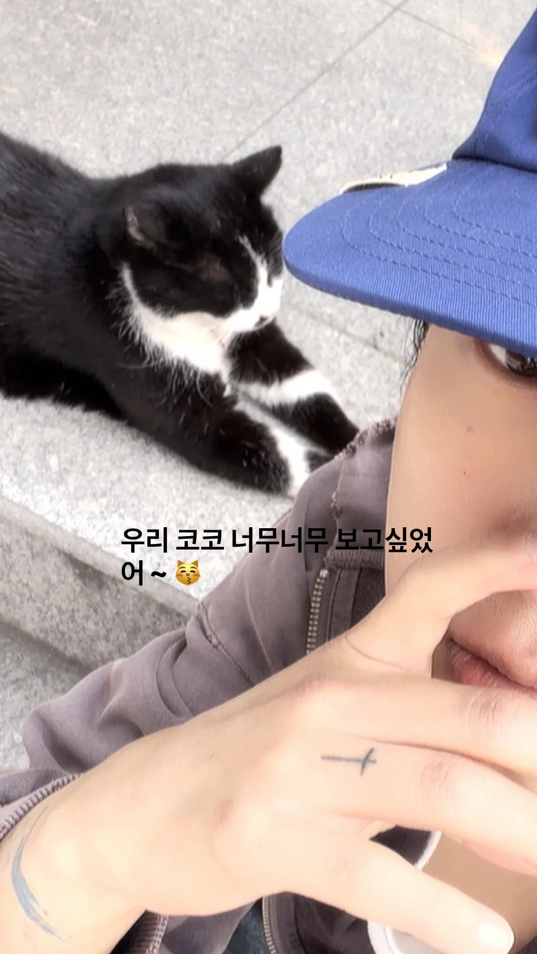 好想好想我们coco～😽