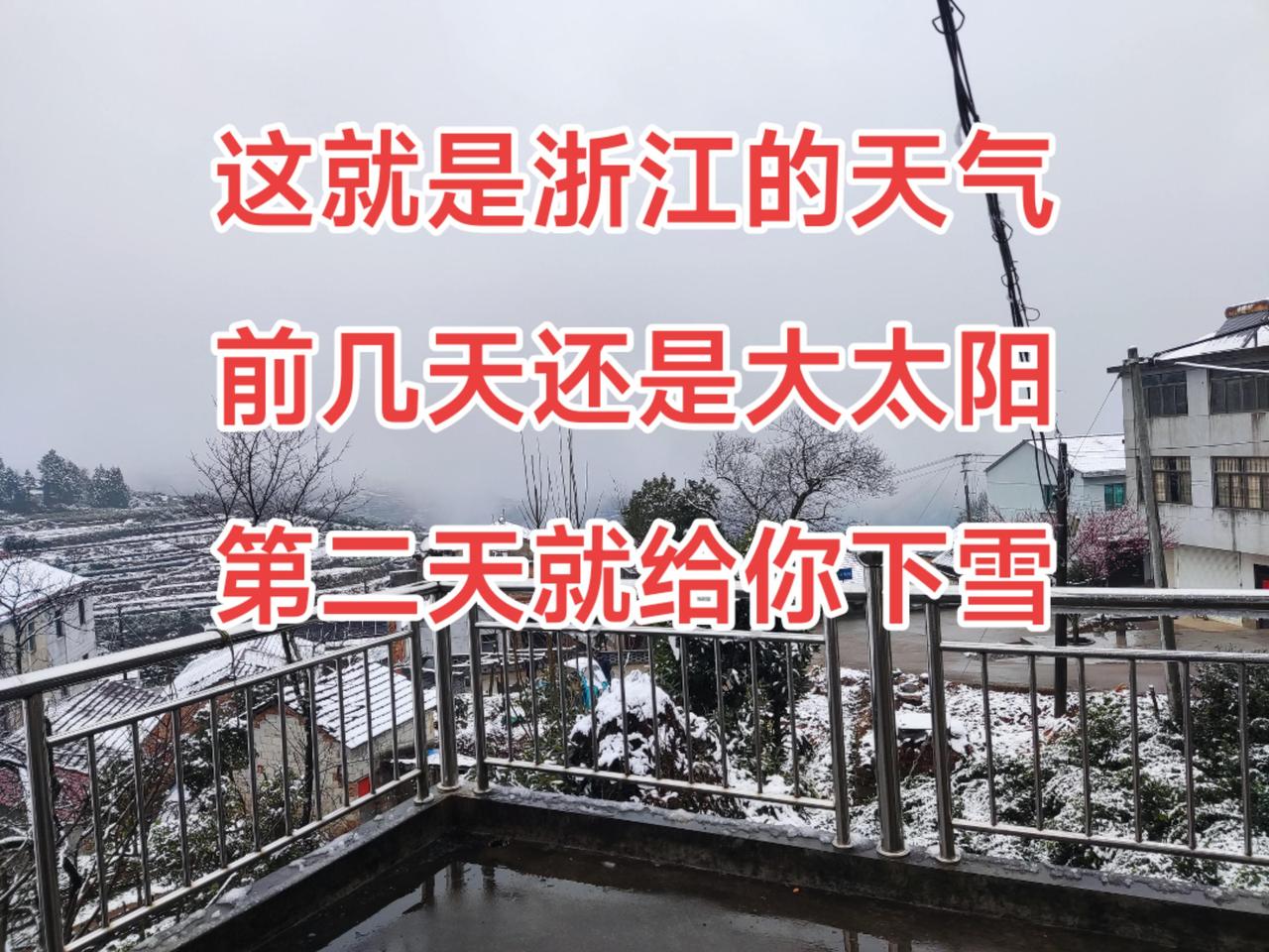 浙江的天气真的怪，前几天大太阳，第二天就下雪带你看雪景