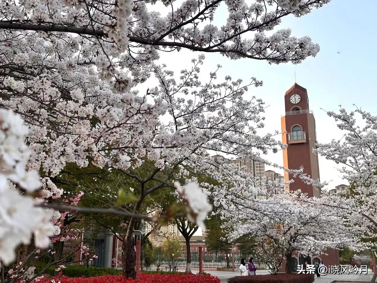 据了解，省锡中2024届高考清华北大共13人，南大共38人，所有学科平均分都超某