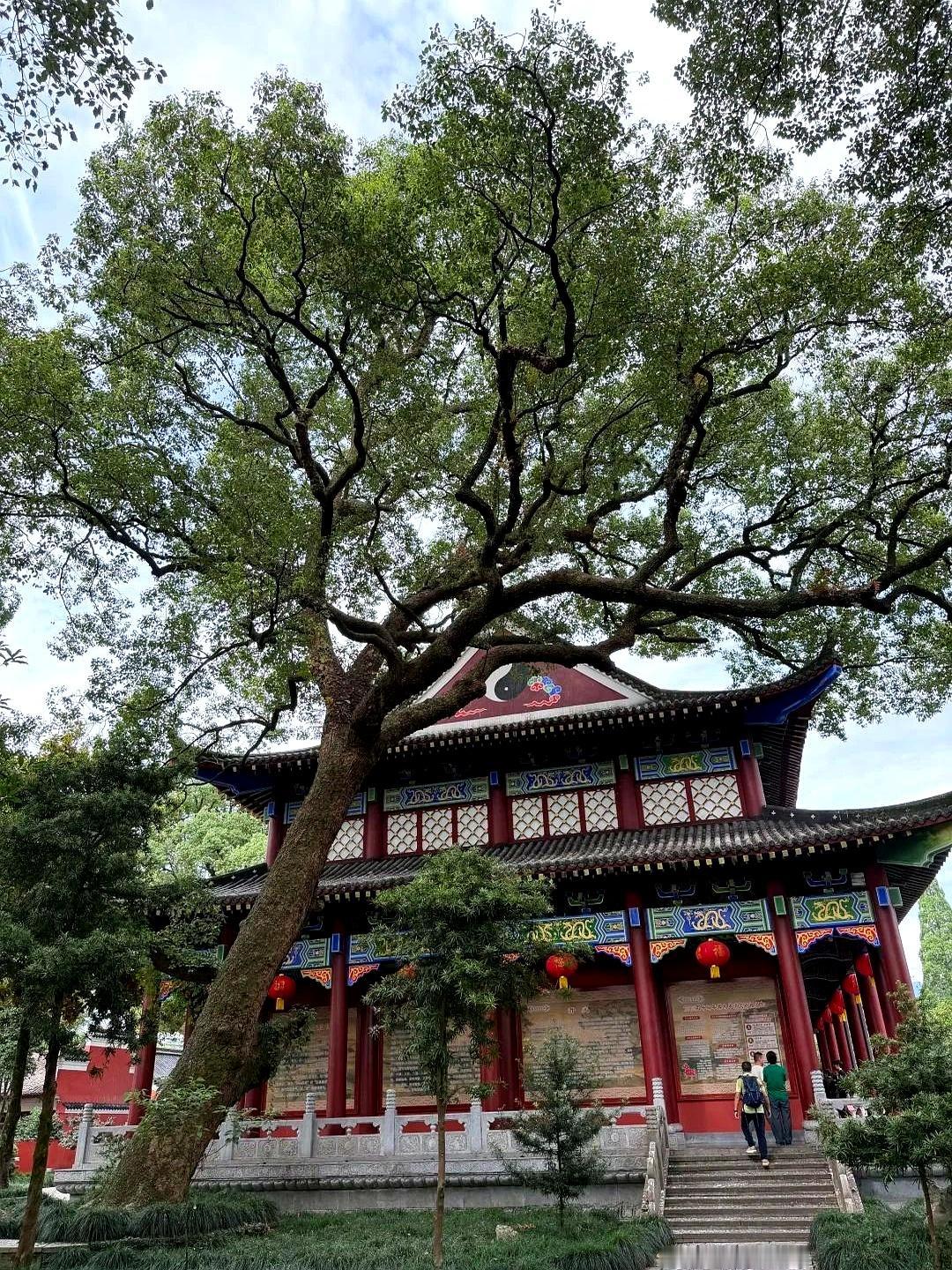 见过最邪乎的事吗？
一老太太开饺子馆，只要她擀的皮下锅破了，远在国外的儿子准来电