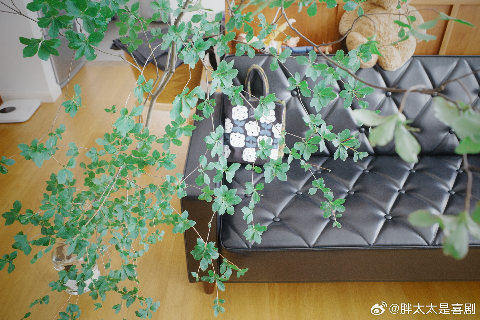 最近开始做饭了/忙得我磕CP的时间都没有