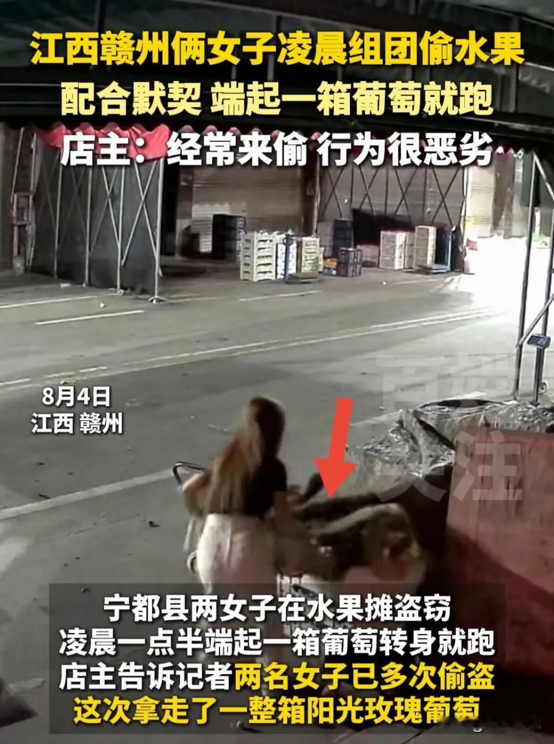 2女子凌晨偷葡萄，老板还是太善良，但凡心狠一点，她们早就进局子了！

事情发生在