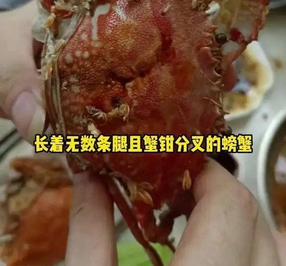 《无人在意的角落他又开始了 核污水 万万没想到》无人在意的角落他又开始了 核污水