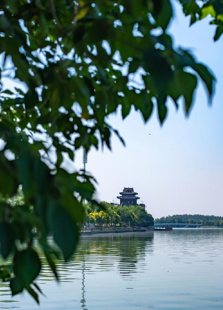 这个暑假，聊城人的周边游被高铁“盘活”了！

有了济郑高铁的加持，加上雄商高铁即