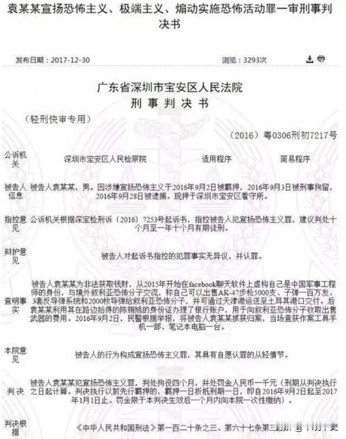 天下奇闻！2016年，中国小伙冒充军事工程师，虚构军火贸易，诈骗叙利亚恐怖分子1